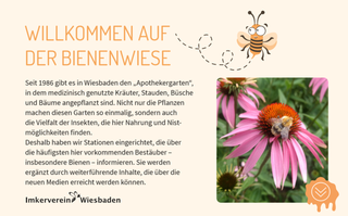 Imkerverein Wiesbaden eröffnet Bienenlehrpfad 2.0