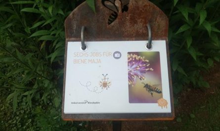 Bienenlehrpfad_Apothekergarten
