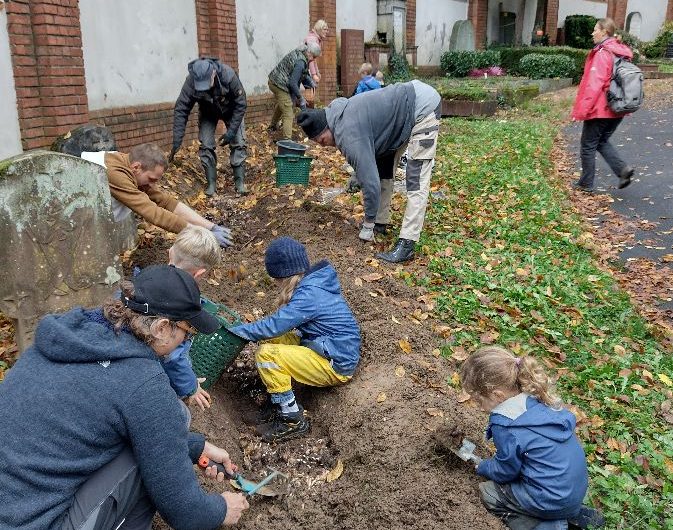 Gourmet-Restaurant für frühe Wildbienen